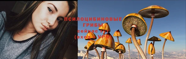 гидропоника Алзамай