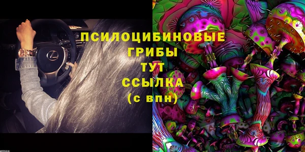 гидропоника Алзамай