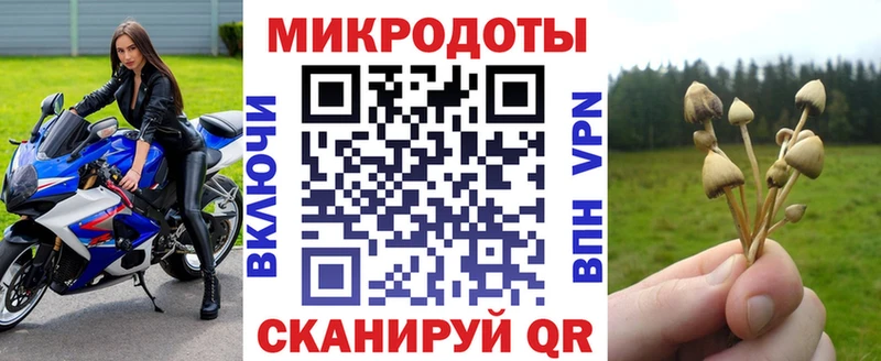 mega рабочий сайт  цены наркотик  Чаплыгин  Псилоцибиновые грибы Psilocybine cubensis 